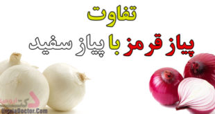 difference-between-red-onions-and-white-onions