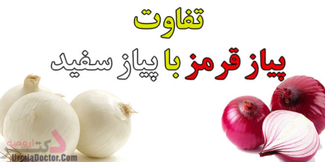 difference-between-red-onions-and-white-onions