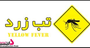 yellow fever تب زرد یا طاعون زرد