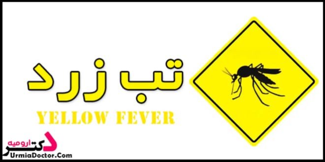 yellow fever تب زرد یا طاعون زرد