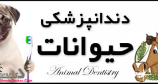 دندانپزشکی حیوانات Animals-Dentistry