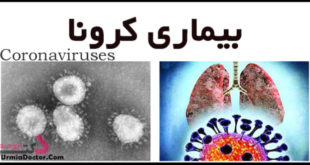 بیماری کرونا Coronaviruses