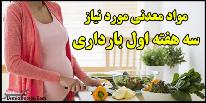 مواد معدنی مورد نیاز سه هفته اول بارداری